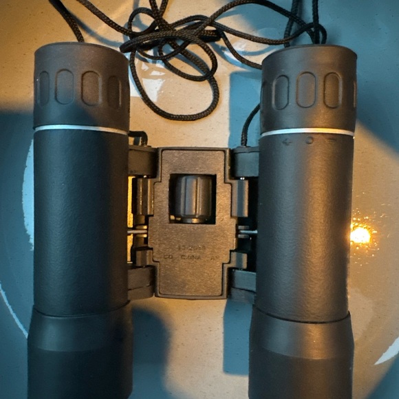 Bushnell 10x25 Compact Binoculars 300ft@1000yds Pocket Travel Hiking w/ Case - Picture 2 of 8